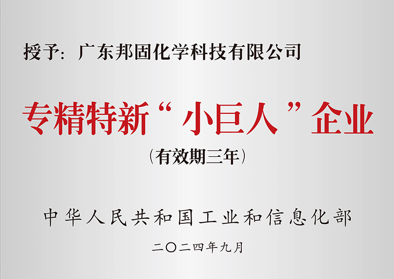 專精特新小巨人企業(yè)（國家級(jí)）